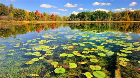 pond images hd